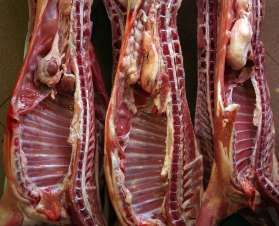 Na Turnovsku obchodník nelegálně prodával vepřové maso