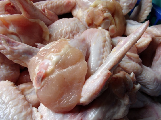Salmonela v kuřecí polévkové směsi a kuřecích srdcích