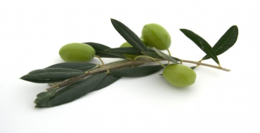 foto k článku Cena olivového oleje by mohla klesnout
