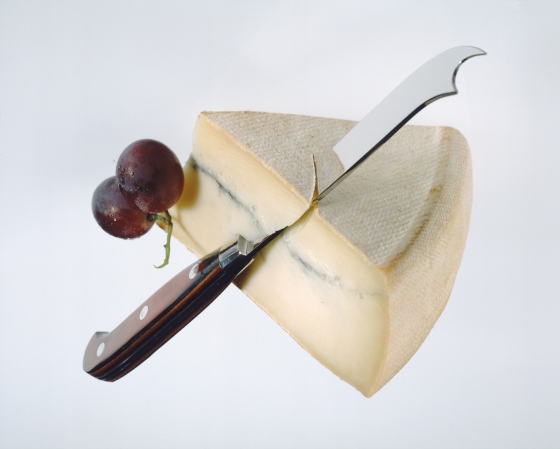 Na tuzemském trhu byl k dostání francouzský sýr, který mohl obsahovat baktérie Escherichia coli