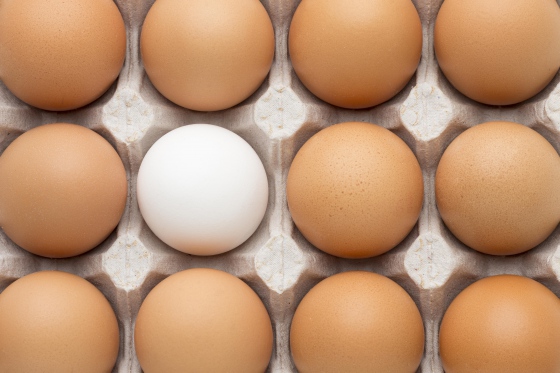 V tržní síti byla k dostání vejce s nadlimitním množstvím antibiotik