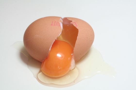 Zavedena povinná kontrola vajec a vaječných produktů před vstupem na český trh