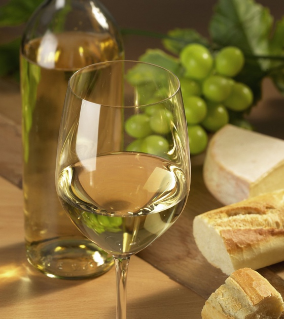 Sezóna svatomartinských vín se blíží