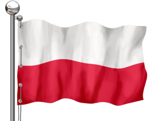 Potravinářská inspekce zjistila další nevyhovující polský výrobek na našem trhu