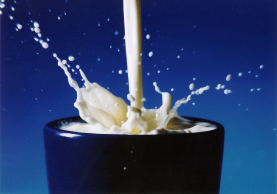 Ceny kravského mléka v Evropě začaly po dvou letech růst