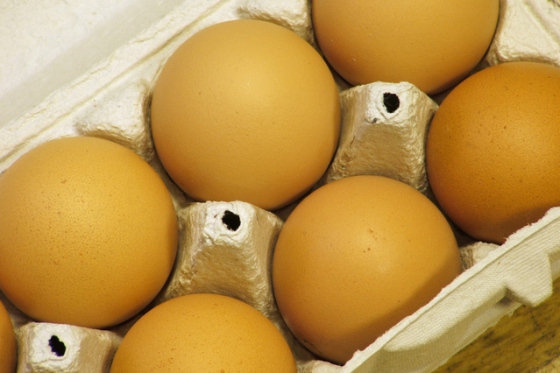Na obalu s vejci není země původu, ale země balení. Drůbežáři chtějí změnu
