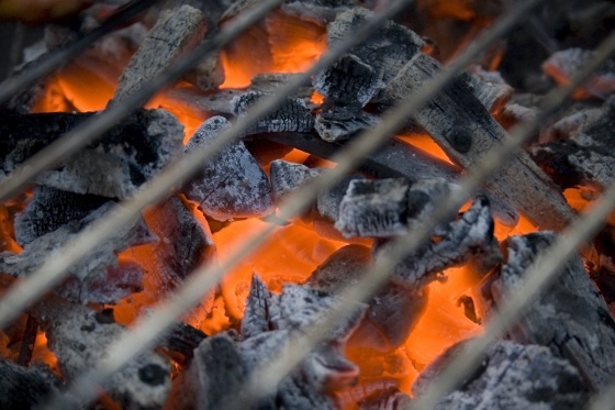 Sele připravené ke grilování v harrachovské restauraci bylo poraženo nelegálně