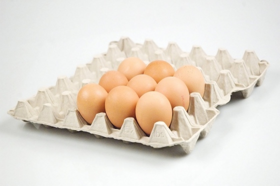 Konec kontrol vajec a vaječných výrobků na přítomnost fipronilu