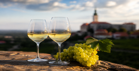 foto k článku Moravský vlašák dominoval v Mikulově, získal čtyři ze sedmi šampionských titulů