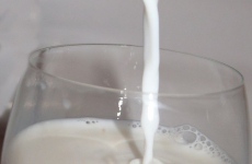 Vylepšení mléčných výrobků