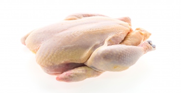 foto k článku Inspekce varuje před mraženým kuřetem z Polska s obsahem salmonel