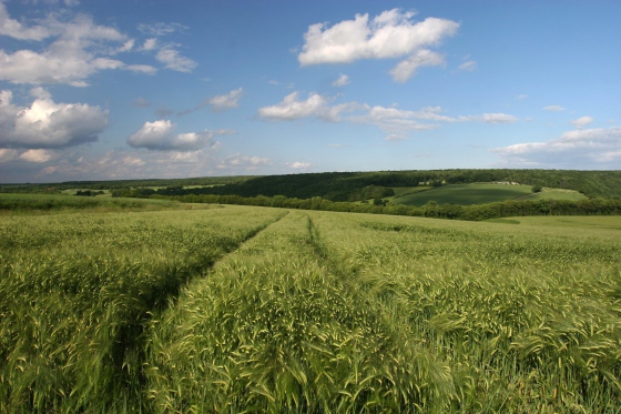 Plzeňský kraj podporuje regionální potraviny