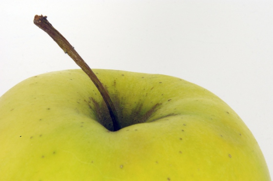 Jablka z Polska obsahovala pesticidy