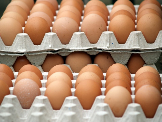 Prodej vajec z klecových chovů v Lidlu skončí