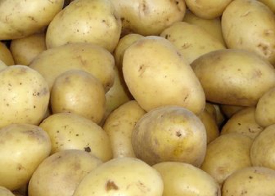 Nové značení brambor 