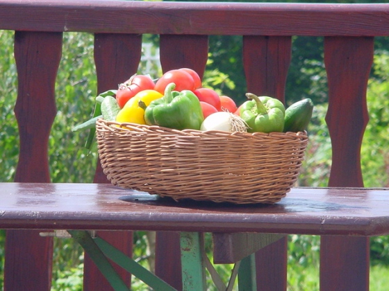 Někteří farmáři po zavedení EET skončí