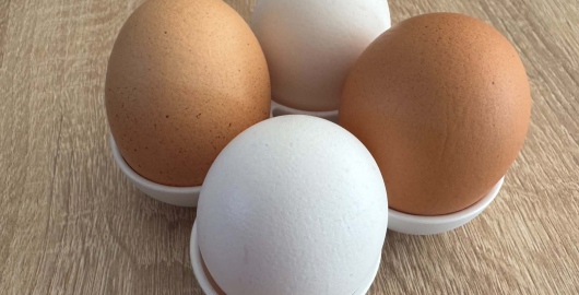 foto k článku Salmonelóza ve školní jídelně: Hygienici odhalili prošlá vejce