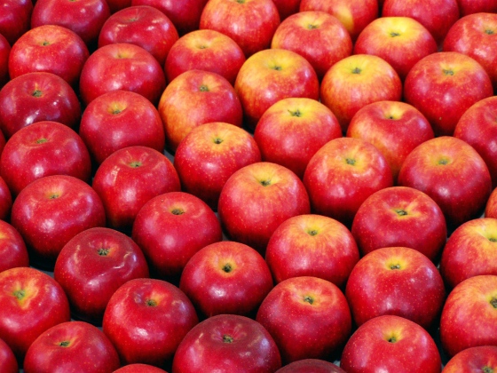 Další várka jablek z Polska obsahovala zakázané pesticidy, čeští prodejci žádají reakci
