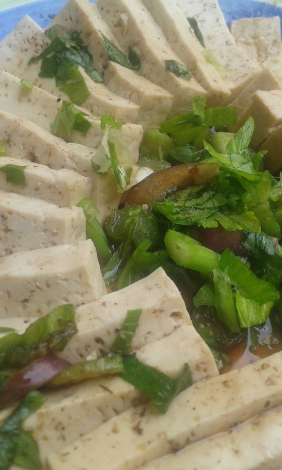 Myší trus, plísně, SZPI uzavřela nelegální výrobnu tofu 
