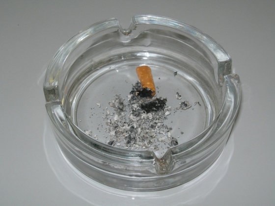 Zákaz kouření v hospodách je blíže schválení