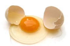 Srovnání cen producentů vajec
