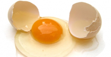 foto k článku Srovnání cen producentů vajec