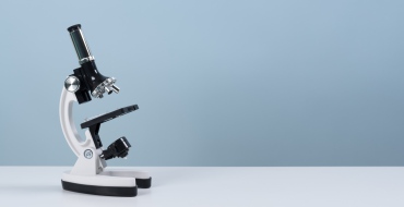 foto k článku Inspekce upozorňuje na falšované masné výrobky z dovozu