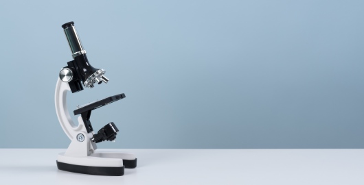 foto k článku Inspekce upozorňuje na falšované masné výrobky z dovozu