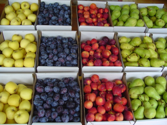 Jak se orientovat v etiketách ovoce a zeleniny  