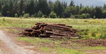 foto k článku Evropská komise upravila návrh o odlesňování, účinnost nastane dříve