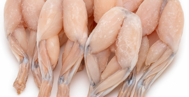 foto k článku Laboratoř zjistila salmonely v mražených žabích stehýnkách