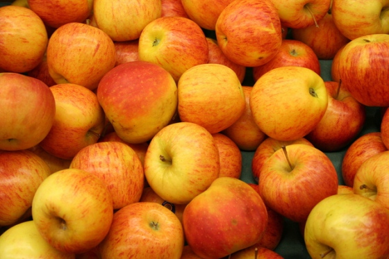 Zásoba českých jablek je dostatečná. Dovoz se neočekává 