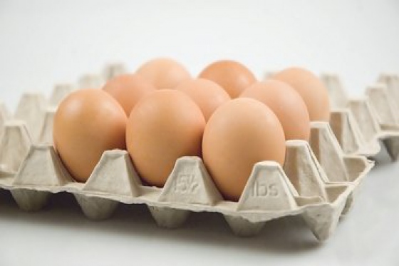 Dva největší čeští internetoví prodejci potravin ukončili prodej vajec z klecových chovů