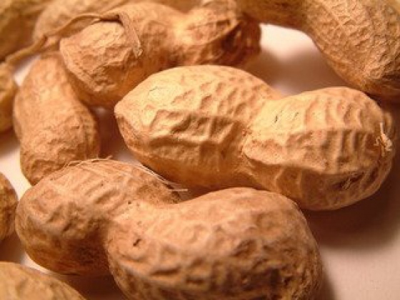 Díky včasnému zásahu se na náš trh nedostalo více než 17 tun závadných arašídů