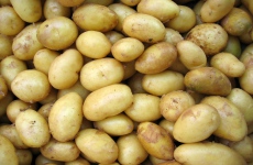 Dotace pro pěstitele brambor